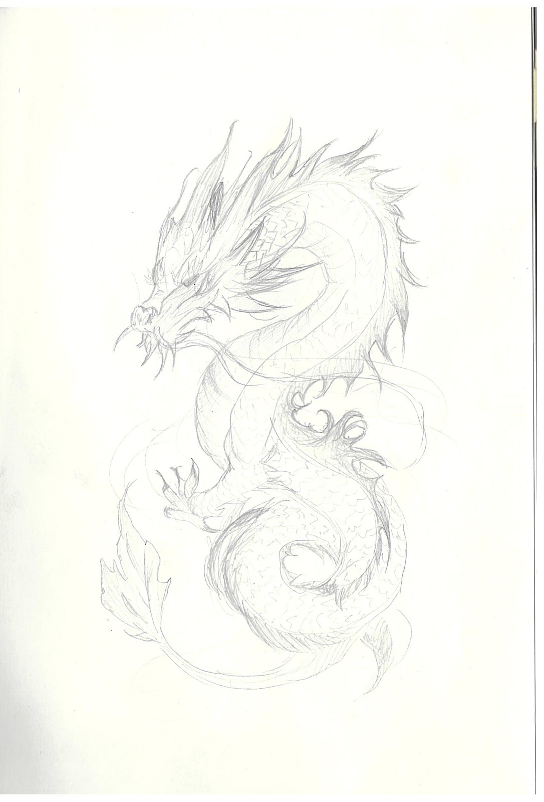 Detailed pencil drawing of a winding Chinese dragon
