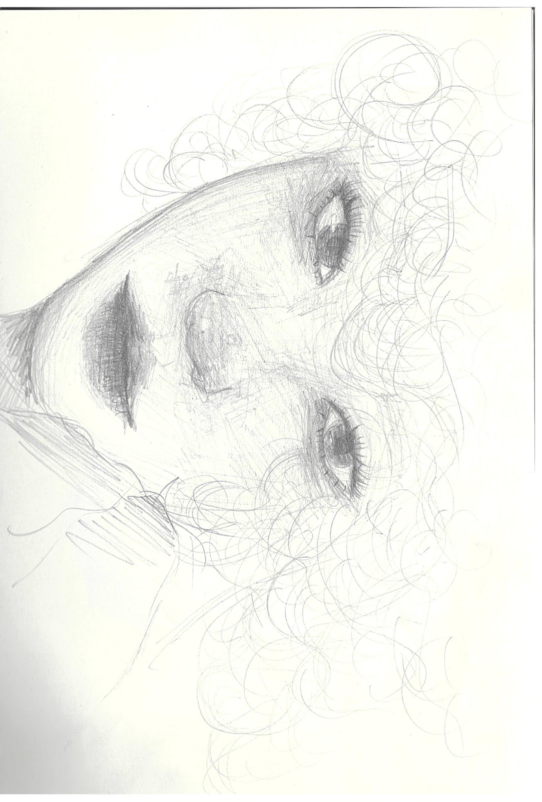 Pencil portrait study of a face with curly hair, inspired by the song APT.